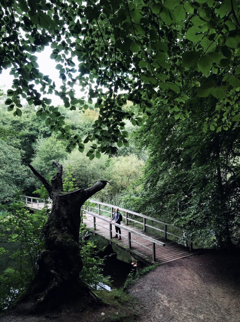 Bro over mølleåen, hvor Daniel står og kigger.