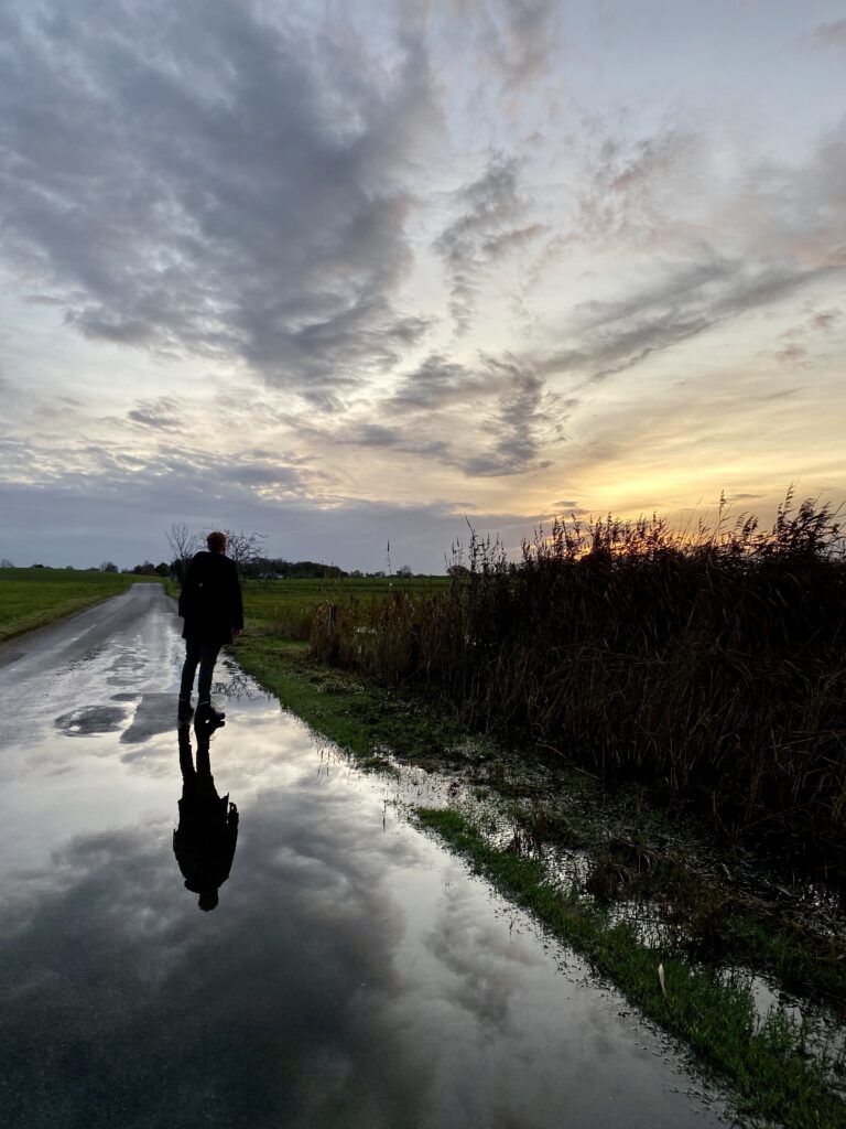 Aftensolen skaber et flot lysspil til fyraftensturen