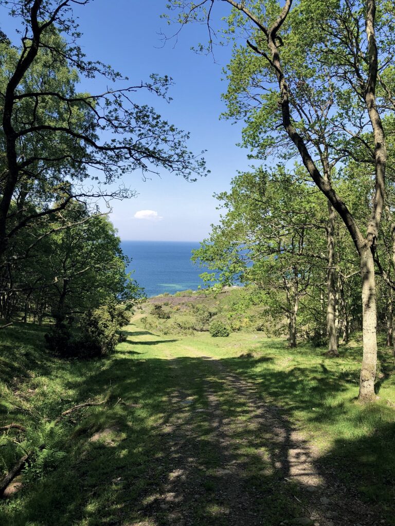 Udsigt ud over vandet fra Hammerknuden