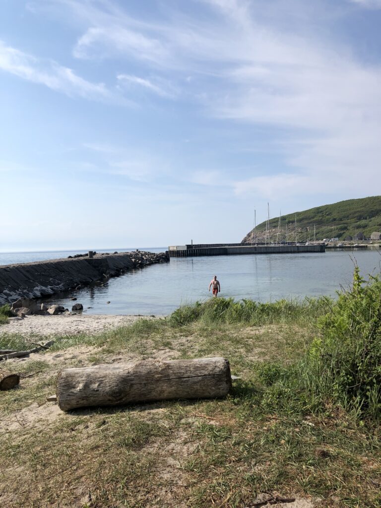En lille strand og shelterplads ved Hammer Havn