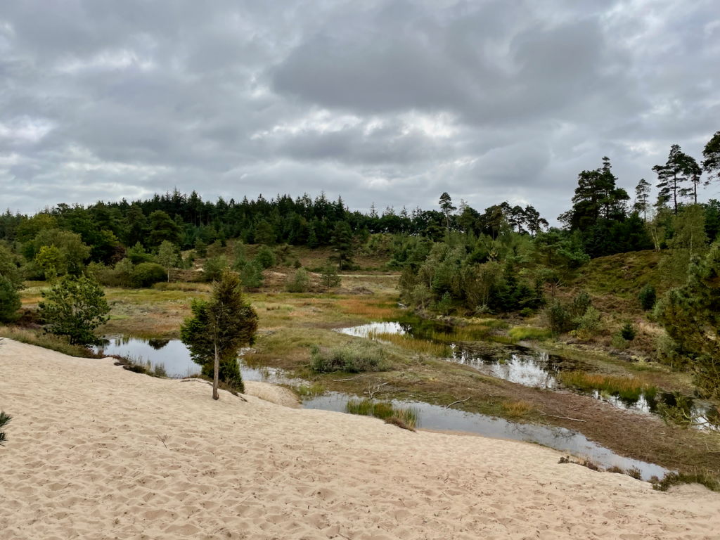 bakket sandstrand ved søvårssøerne